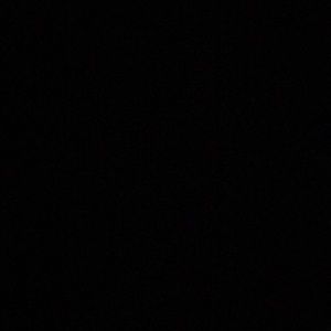 Meet your Posher, Max